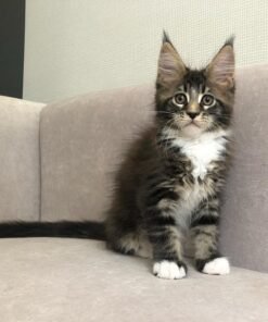 Charles
