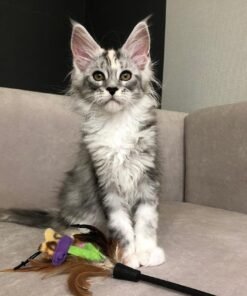 Milo