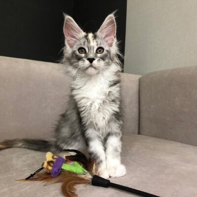 Milo