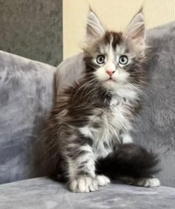 Mia