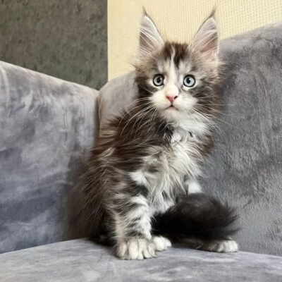 Mia